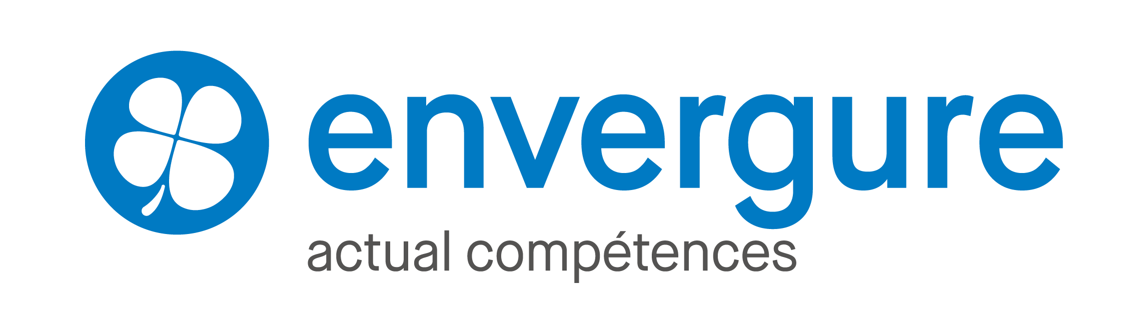 Logo Envergure